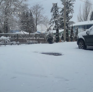 Meet your Posher, Simi